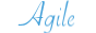 Agile Industrie